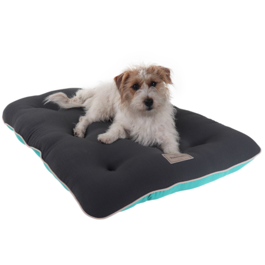 image_7a8181d6-e827-4a06-ba04-602d448151df