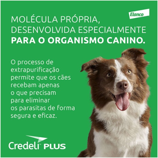 image_fc87d132-8232-4ca0-99d3-8411b4ef33ef