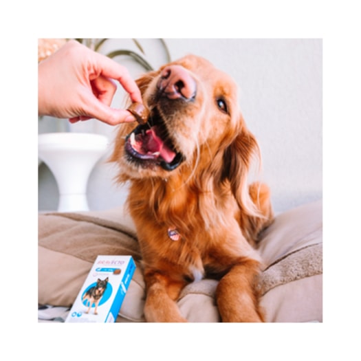 image_b849ba8b-925f-4200-b9e0-00c4a890b5dd