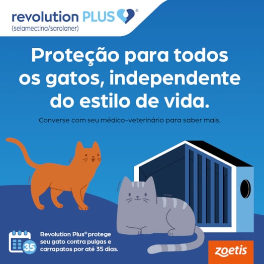 image_2dcd99d5-8fc8-4871-87d4-e0061a10c263