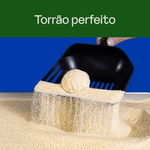 image_2ed0687d-b557-459f-86fb-4dea4a607bb5