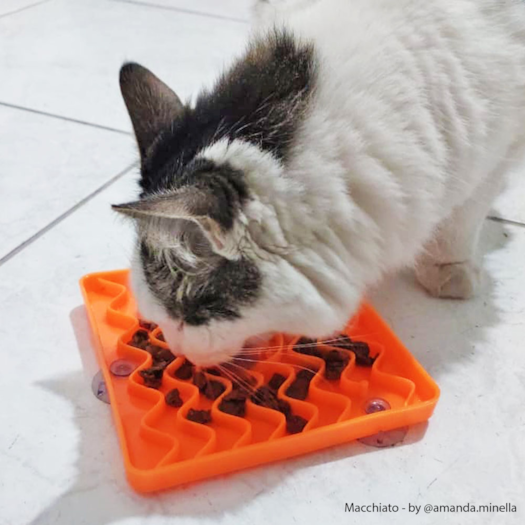 image_0b79164f-af35-4bd6-894c-fda747cf22e2