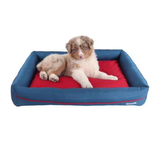 image_b4839616-6e73-4d8e-91ff-47bebd1008ab