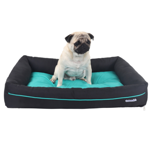 image_e687c962-f10e-40c6-819f-e7ecf1688631