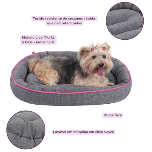 image_1483e229-91ab-4230-b6fd-6456ca3fcb62