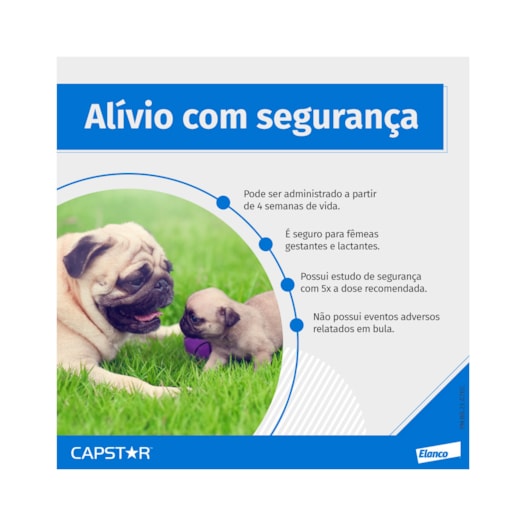 image_c26b9dd4-7df4-47ac-b92a-82f34f911498