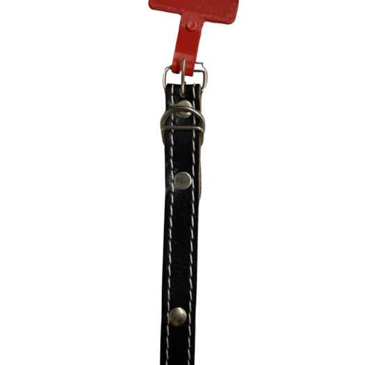 image_88465c68-cbc4-4370-abf7-9f52dfa8b45b