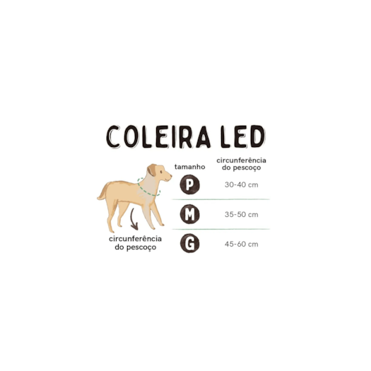 image_a8663609-31b3-4890-bfdb-3624b161dea2