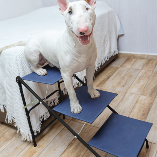 image_4d67c2f3-c705-4a0d-85c9-8424cf5d4454