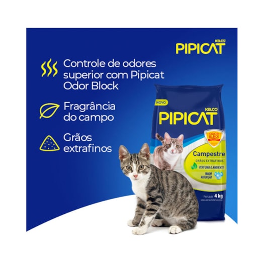 image_2dc39b10-e773-4245-a641-a46e1f02fec5