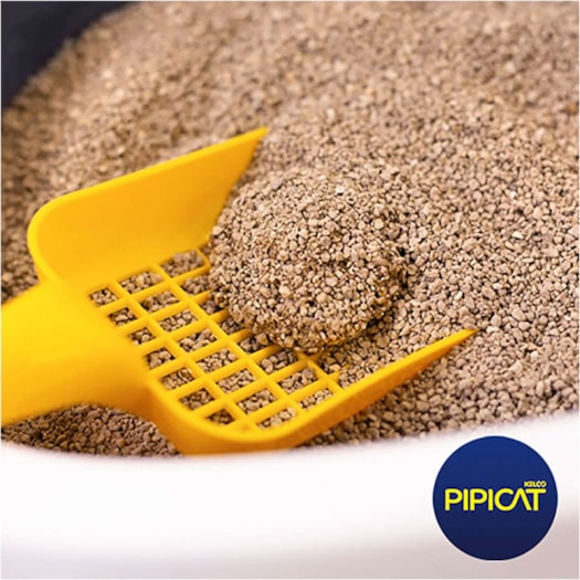 image_5a6b478a-ac87-45b2-a3dd-71eeeae5eb5f