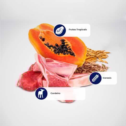 image_16e08b25-47aa-4ce7-8967-eacd0b6d19ff