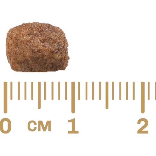 image_bd820c1c-7af4-453c-9265-24145c369a5d