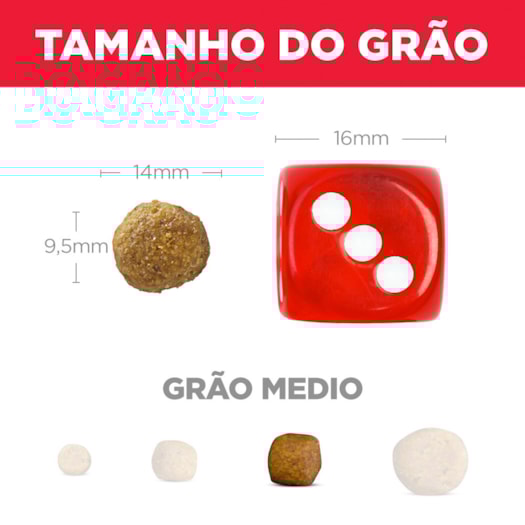 image_445d7da4-df12-4c2f-9c52-97d3df1aa9d6