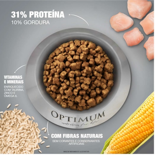 image_9909240b-3662-4fc3-b1c5-afe99b8b392e