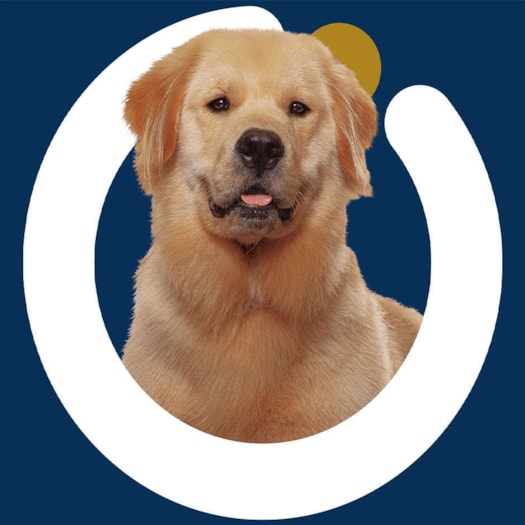 image_a22d92ba-ee86-42b9-b902-c4089491d36c