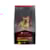 Ração Proplan Dog Adult 1kg   Small Breed Optilife (Raças Pequenas)