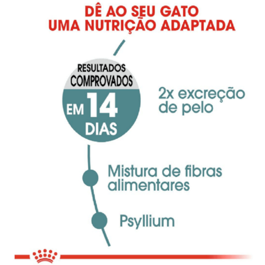 image_46d51fad-1fe5-4fca-a06a-92a1011b5b91