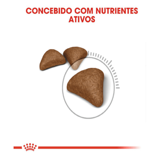 image_36812ee7-b6c0-4a2d-a877-61e0a13991f0