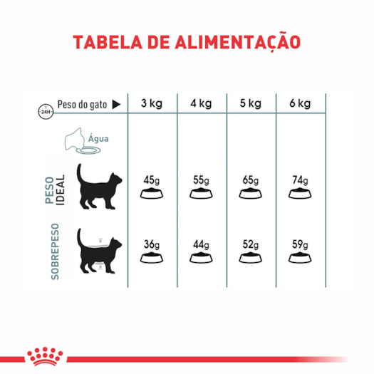 image_3ff62b83-3d41-45a5-8c39-4528f0aab29b