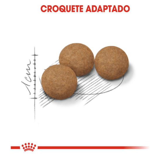 image_e22b2d83-9234-4ad1-bbe1-cad7b8ca336e