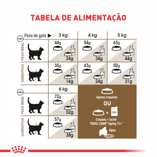 image_40b5b793-3de6-474b-b78f-45f9200daee6