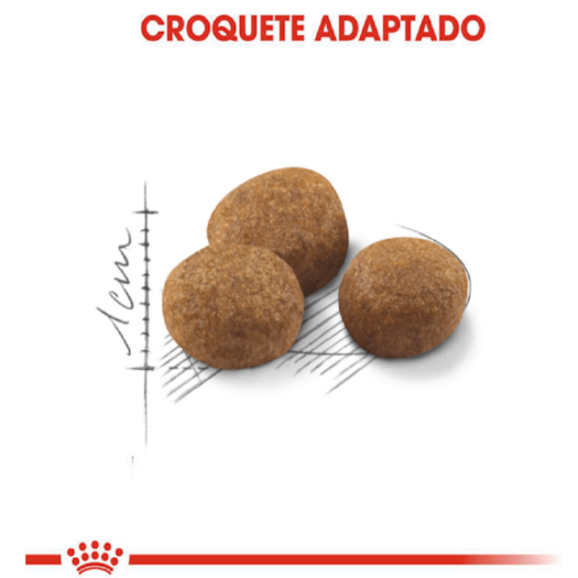 image_e64d926b-c1c7-425a-80de-0240bd8342d3