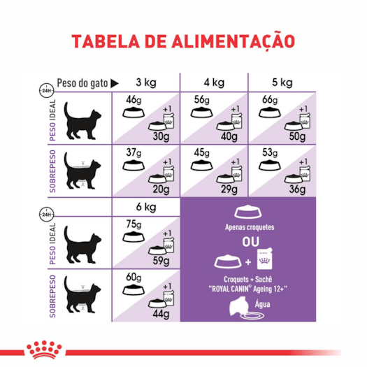 image_d1e2d387-8f23-427c-a186-ea2266ebe7ae