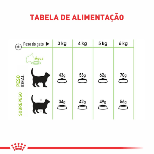 image_3af99d71-4a41-4be6-9134-200c22f8fde7