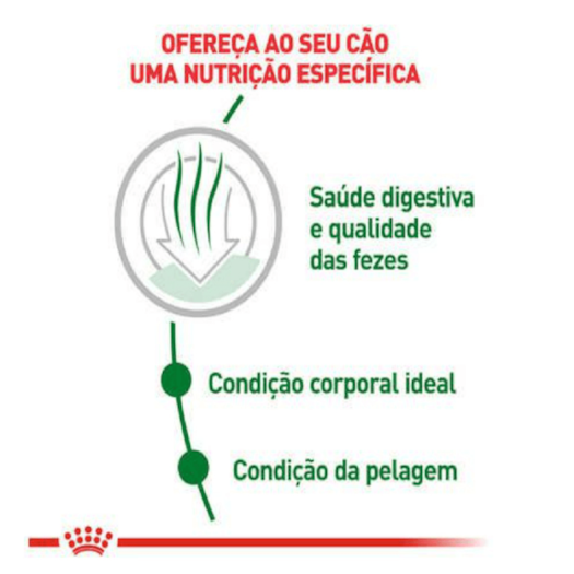 image_7d7d8f2e-72c0-4e00-a4bb-a064d3677313