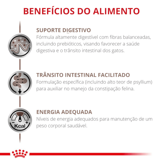 image_66cd1db3-481a-4fcc-8b98-641e785db6cc