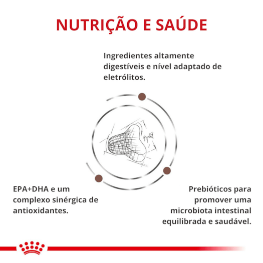 image_80ef69de-f35b-42f4-8c4e-498c9937d077