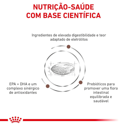 image_59a76025-b235-4758-8cd8-27e34a132903