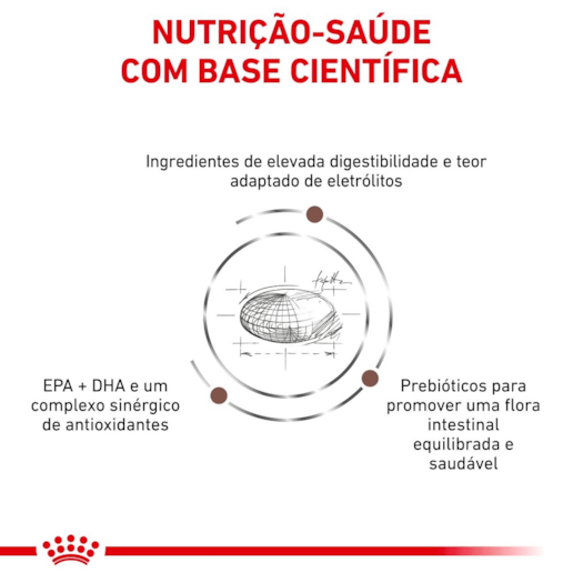 image_0ef324e3-6117-4c2d-b62e-66c97c7db78d