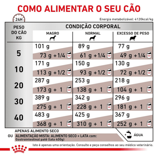 image_ee4247b4-c3e2-4ff9-ae80-d8e445834159