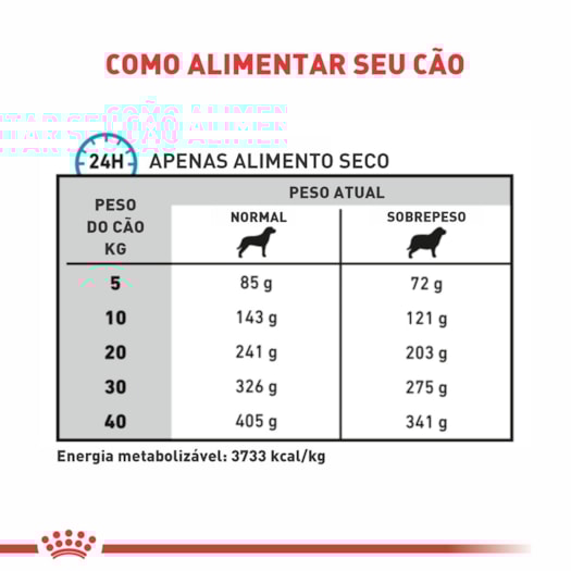 image_dfe8e866-9571-46eb-a77e-f5b2430177db