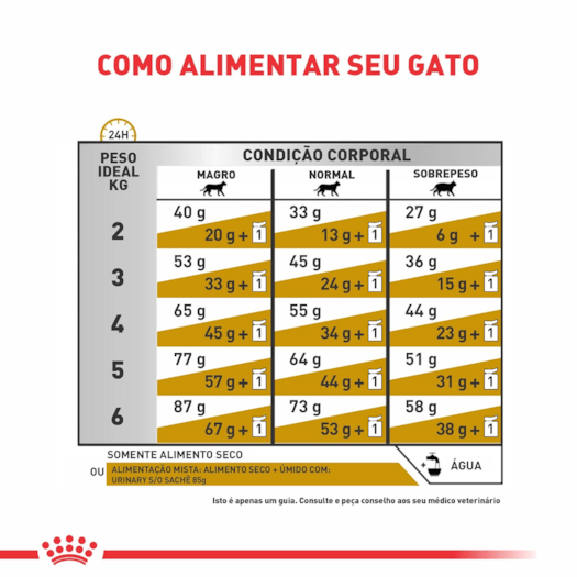 image_d46a73a0-71dc-4da3-b948-20a5e93a37dc