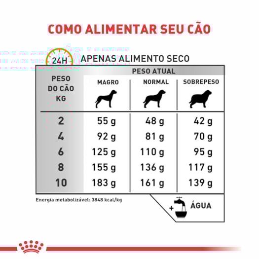 image_bdb342d2-fdab-42a3-bd8b-c25d4698aa59