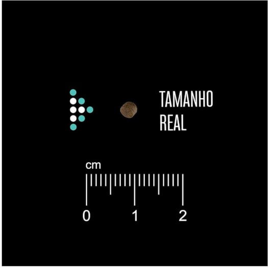 image_2cc00e46-0ee5-4f48-afff-3d0b68c1a9c9