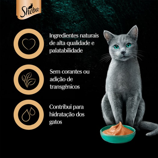 image_5a37554e-d1db-41e5-98f4-69a69482c2cd